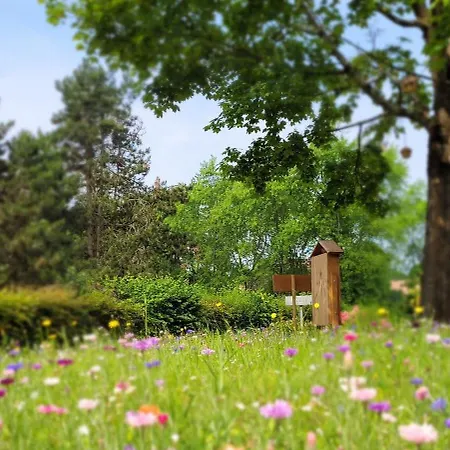 Kyriad Rouen Nord - Saint Aignan Ξενοδοχείο 3*