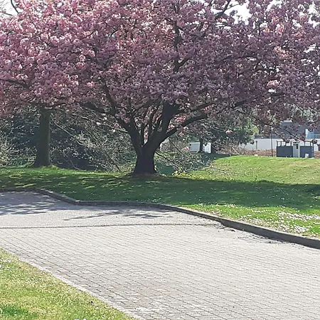 Kyriad Rouen Nord - Saint Aignan 3* 蒙圣埃尼昂
